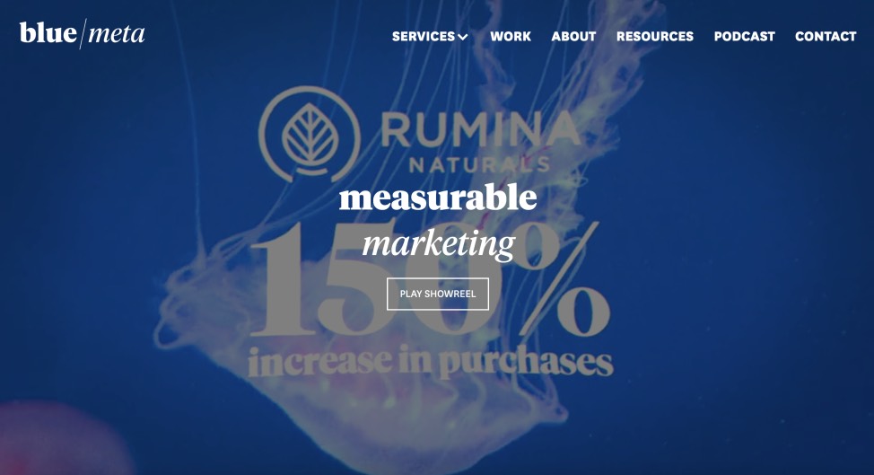 Blue Meta Best eCommerce Marketing Agency E-Commerce Digital Services Company