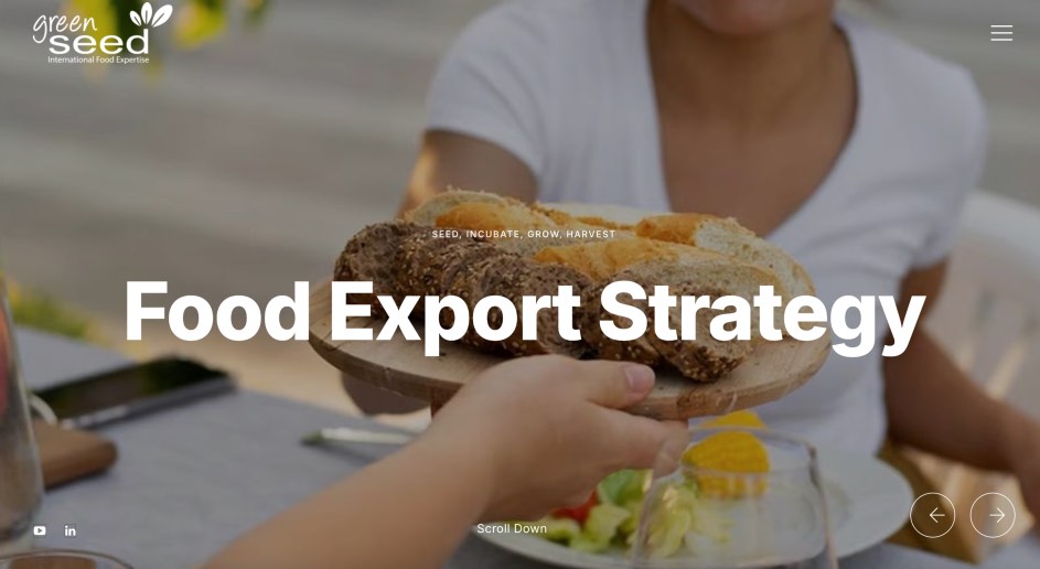 Green Seed Group International Food Expertise Best Digital Marketing Agencies for Beverages