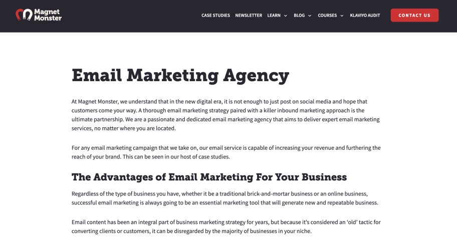 Magnet Monster Best Email Marketing Agency E-Mail Automation Newsletter Drip Services Agencies